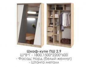 шкаф-купе ПШ-2.9 1500 Норд Белый жемчуг 1500 в Кудымкаре - kudymkar.magazin-mebel74.ru | фото